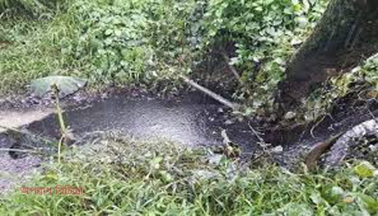 ইটিপি বাস্তবায়ন করে হালদার প্রতি দরদি হতে হবে