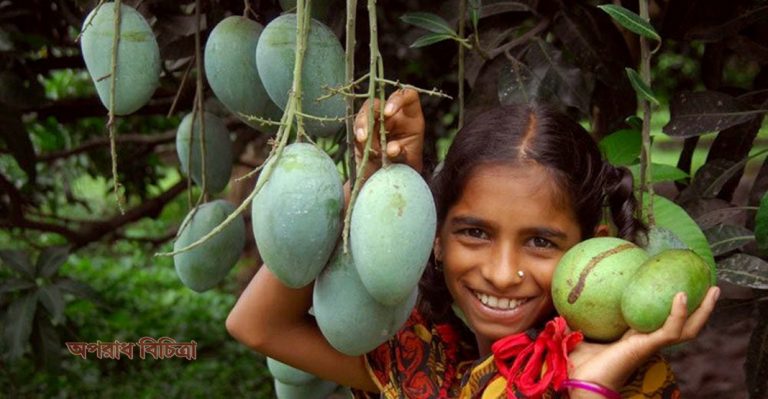 মোট ফল উৎপাদনে বাংলাদেশ বিশ্বে ২৮তম