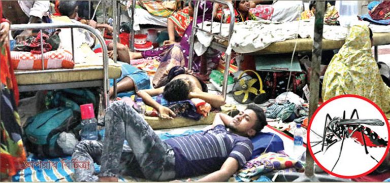 মশার কারণে ভয়াবহ সংকটে পড়েছে ঢাকা