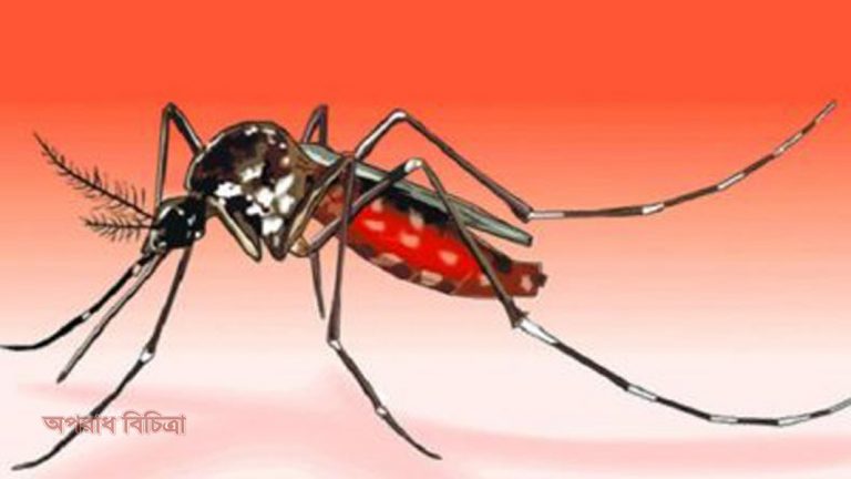 ডেঙ্গু নিয়ে দেশের বিভিন্ন হাসপাতালে ৪০৩ জন ভর্তি