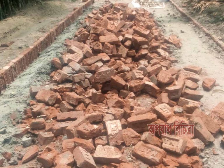 দশমিনায় এডিপির বরাদ্ধকৃত কোটি টাকার লোপাট: আগুল ফুলে কলা গাছ ঠিকাদার ও ইঞ্জিনিয়ার