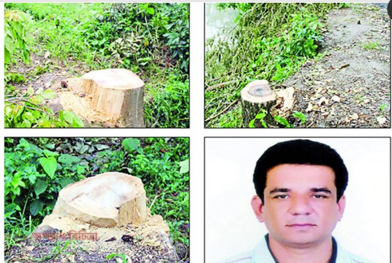 বনায়নে জাতীয় পুরস্কার পেলেন গাছকাটা চেয়ারম্যান