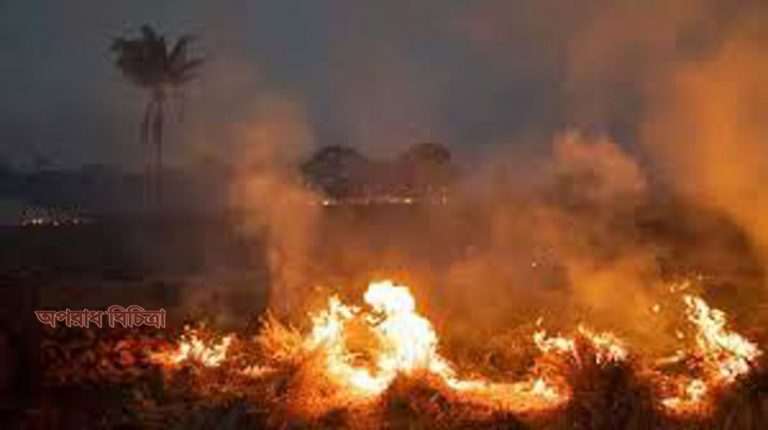 ৪৪ হাজার সেনা ইতিমধ্যে আগুন নেভানোর কাজ শুরু করে দিয়েছে