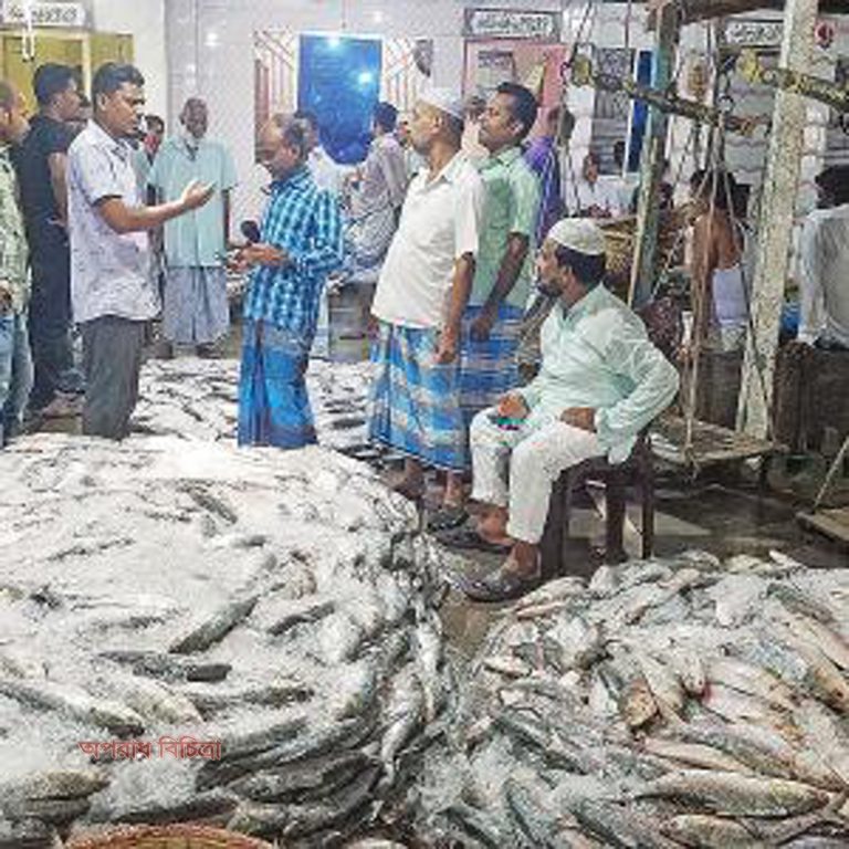 প্রচুর পরিমাণ ইলিশ ধরা পড়লেও দাম কমছে না