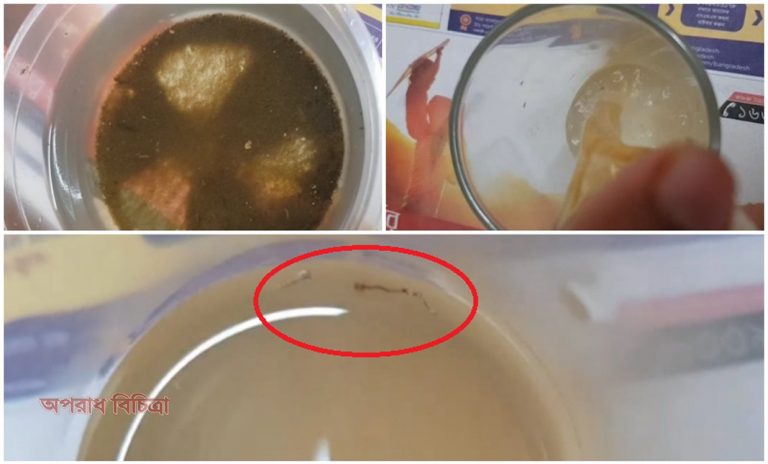 সিটি কর্পোরেশনের মশার ওষুধ কাজ করছে না