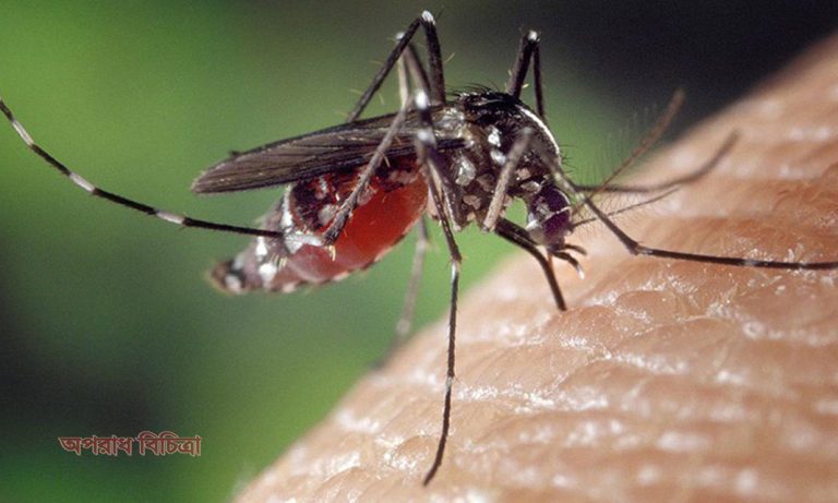 ডেঙ্গুতে ইডেন ছাত্রীর মৃত্যু