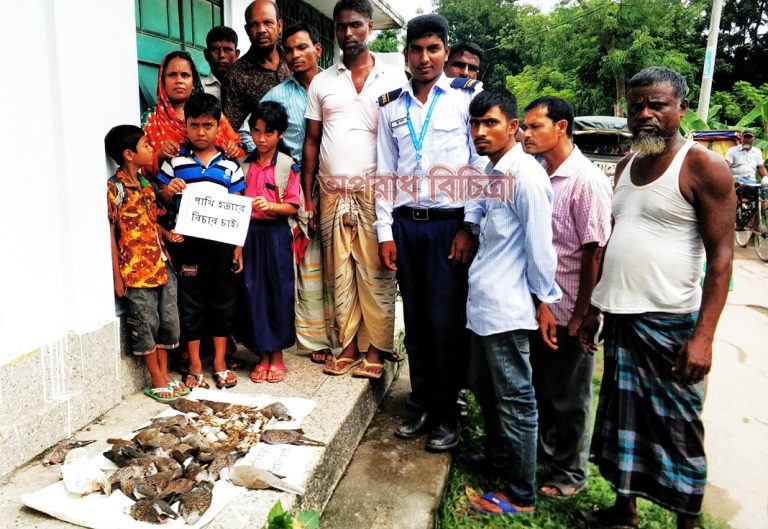 লালমনিরহাটে বিষ দিয়ে পাখি হত্যা, ৫০ হাজার টাকা জরিমানা