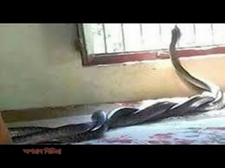 সাপের দংশনে গৃহবধূর মৃত্যু