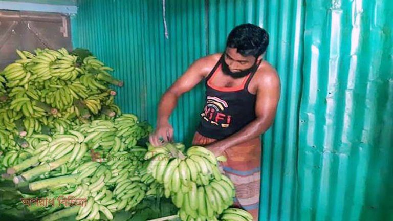 বিষ প্রয়োগ করে কলা পাকান হালিম