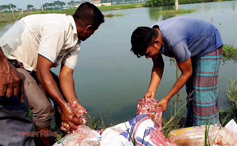 ৩৭ কেজি শেয়ালের মাংসসহ দুই তরুণকে আটক