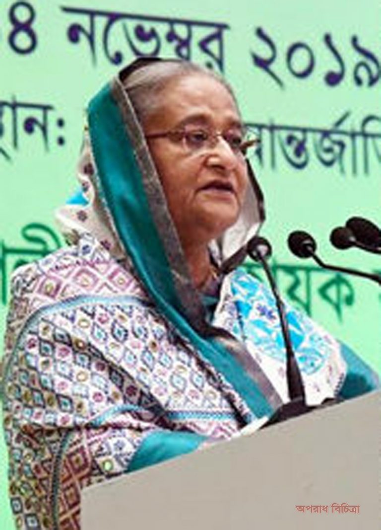 প্রধানমন্ত্রী দারিদ্র্য বিমোচনের ক্ষেত্রে ক্ষুদ্র ঋণের ব্যর্থতার কথা তুলে ধরেন