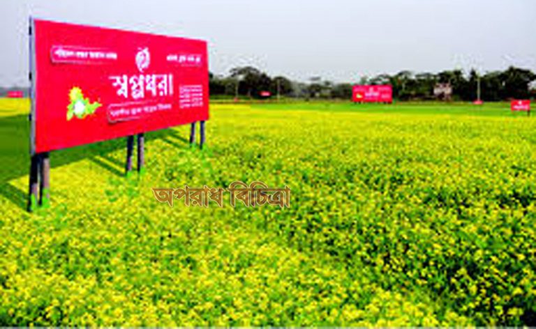 ভয়ংকর প্রতারণার ফাঁদ সরকারী অনুমোদনবিহীন স্বপ্নধরার প্লট কিনলে আম-ছালা দুটোই শেষ!