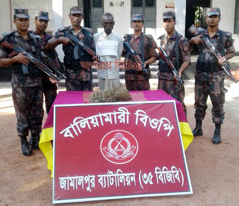 বিজিবি’র বালিয়ামারী বিওপি’র অভিযানে ০১ জন পাচারকারীসহ  ০১ কেজি ভারতীয় গাঁজা আটক