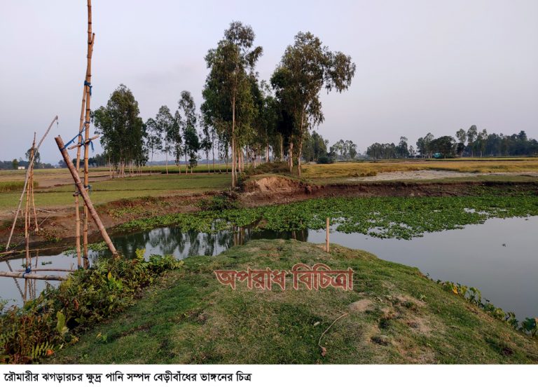 রৌমারীতে বেড়ীবাঁধ সংস্কার না করায় হাজার হাজার একর ফসলের ক্ষতি