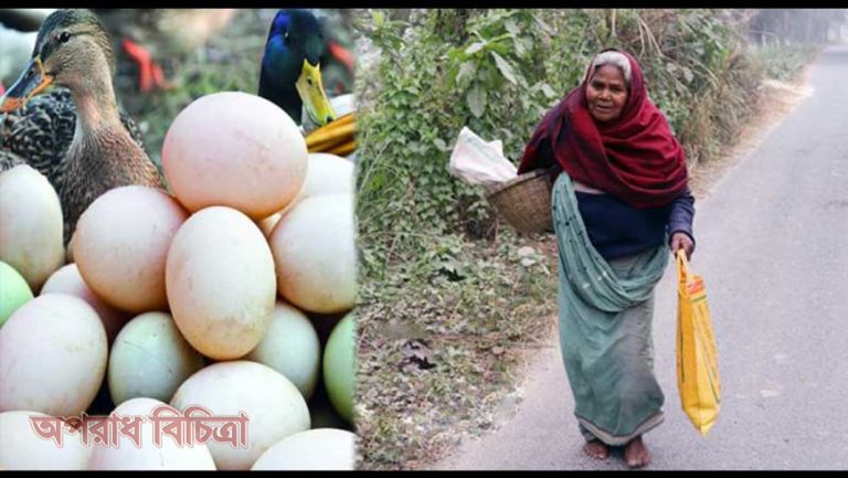 বৃদ্ধা রাবেয়া খাতুনকে সবাই ‘ডিম দাদি’ নামেই চেনেন