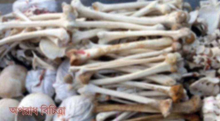 মানুষের কংকালসহ ২ পাচারকারীকে আটক