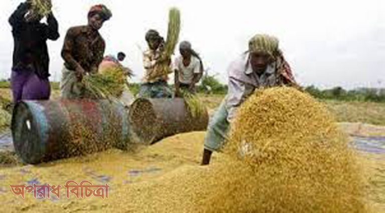 ধানের দাম আরও কমেছে