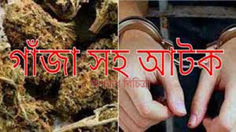 কলাপাড়ায় ২কেজি গাঁজা সহ যুবক আটক