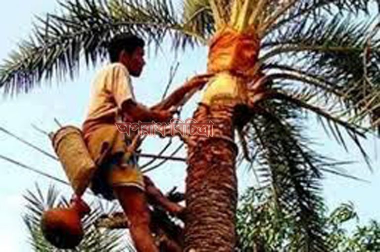 এই শীতে খেজুর রস সংগ্রহে ব্যস্ত সময় পার করছেন সমুদ্র উপকূলীয় গ্রামবাংলার চাষিরা