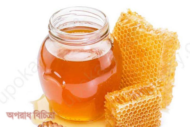জেনে নিন মধু-পানি একসঙ্গে খাওয়ার উপকারিতা