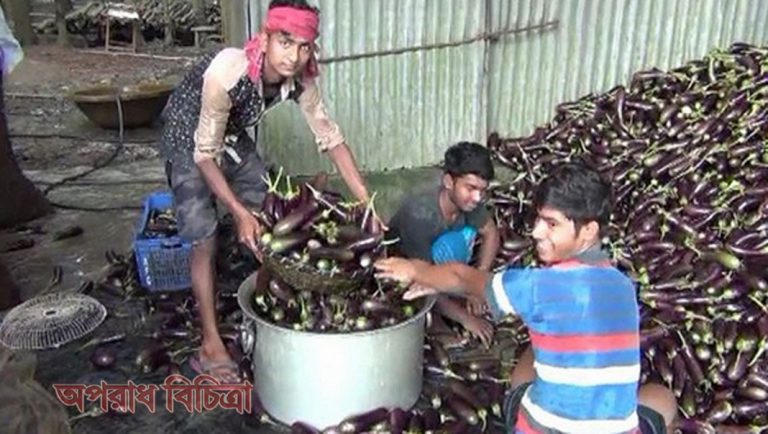 ফরমালিন মেশানো বেগুন ছড়িয়ে পড়ছে সারা দেশে