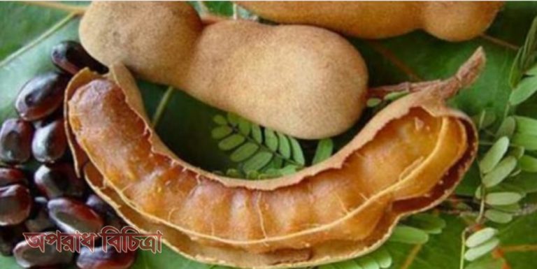 জেনে নিন তেঁতুলের নানাবিধ স্বাস্থ্য উপকারিতা