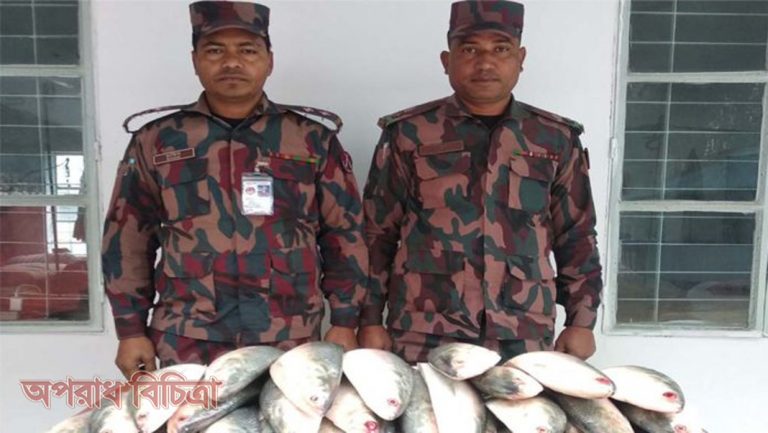 ভারতে পাচারকালে ইলিশ মাছ উদ্ধার