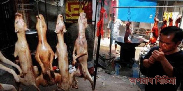 খাসি বলে খাওয়ানো হচ্ছে কুকুরের মাংস