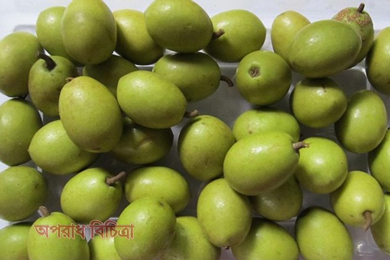 জেনে নিন জলপাইয়ের নানা উপকারের কথা