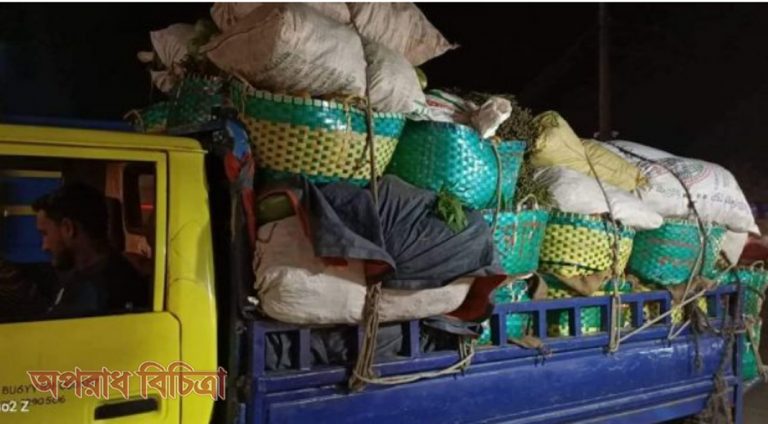 বড় ধরনের লোকসানের ঝুঁকিতে রয়েছে হাট ইজারাদারা