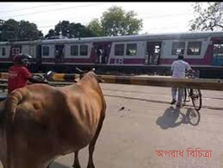 রেলক্রসিংয়ে ঝুঁকিপূর্ণ পারাপার, এ আর নতুন কী