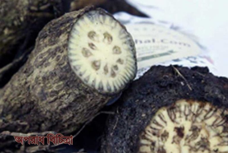 জেনে নিন চুইঝালের ঔষুধিগুণ বা উপকারীতা