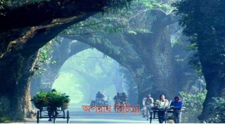 গাছ লাগালেই জীবন বাঁচবে