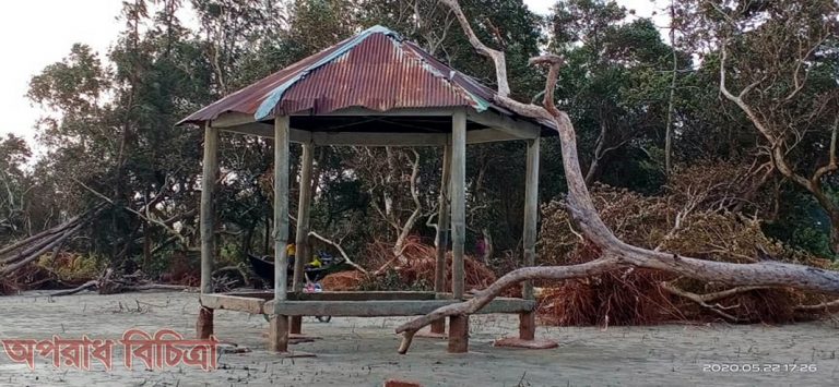 ঘুর্ণিঝড় আম্পানে লন্ডভন্ড কুয়াকাটা উপকুলের বনাঞ্চল হুমকীর মুখে পরিবেশ