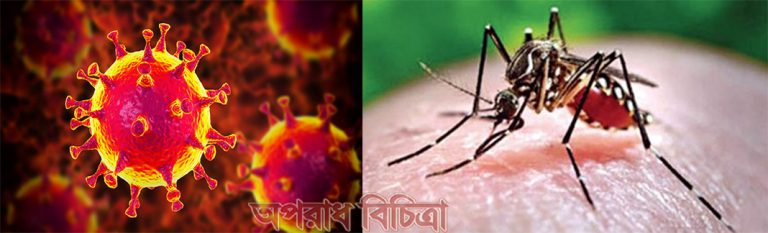 করোনার ও ডেঙ্গু থেকে সাবধান বাংলাদেশ