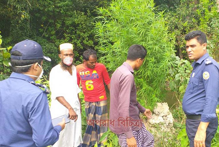 বগা পুলিশ তদন্ত কেন্দ্র ইনস্পেক্টর  মহিবুল্লাহ এর নেতৃত্ব বাউফলে এক গাঁজা চাষী  আটক