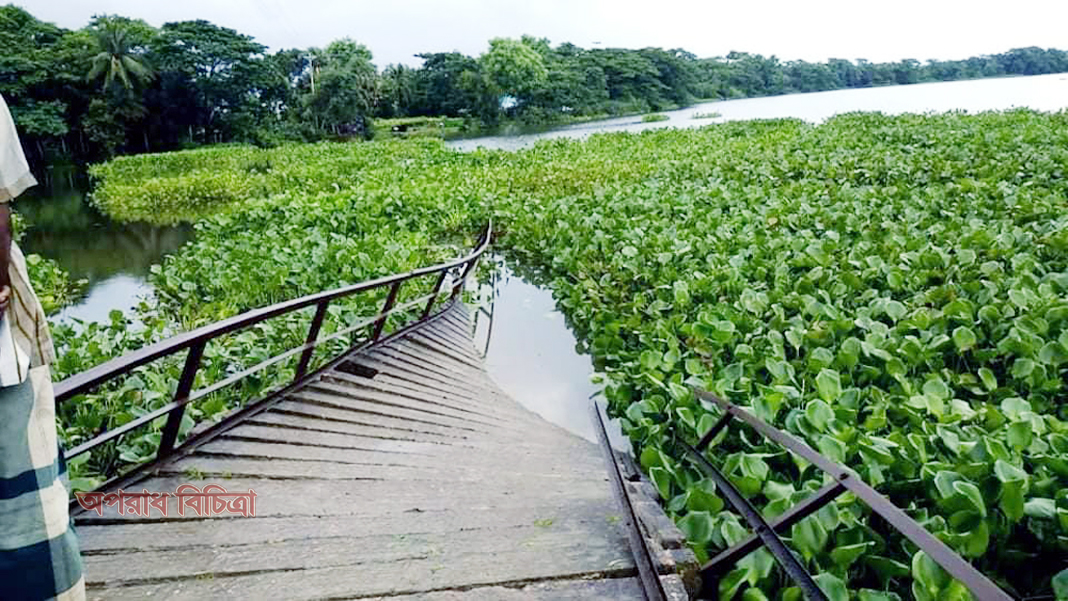 কলাপাড়ায় আয়রন ব্রিজ ভেঙ্গে দূর্ভোগে হাজারো মানুষ