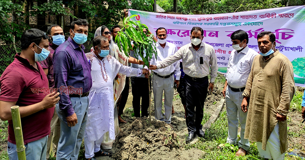 কলাপাড়ায় সরকারি অফিসে একযোগে বৃক্ষ রোপন