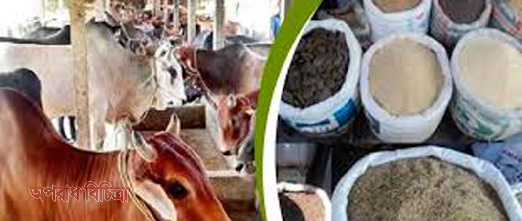 গো-খাদ্যের সংকট, বিপাকে খামারি-গৃহস্থরা