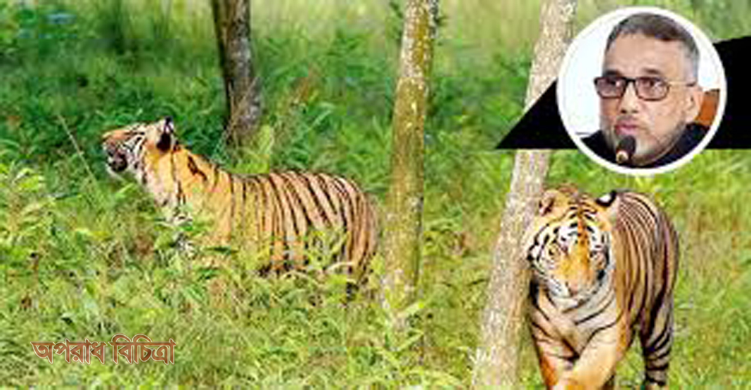 দুই বছরে জনতার পিটুনিতে ১৪টি বাঘের হত্যা  হয়েছে