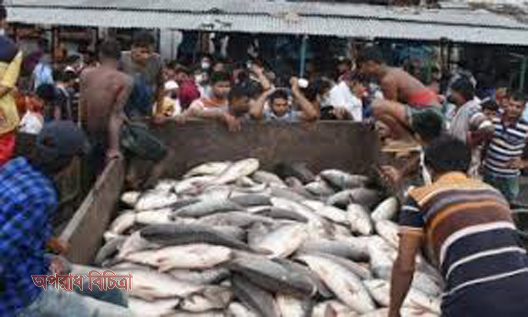 রাজশাহীতে অক্সিজেন সংকটে মরলো ১৪ কোটি টাকার মাছ