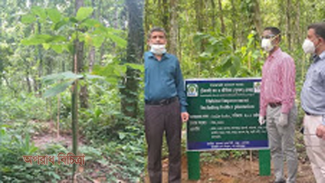 মধুপুরে বন বিভাগের ১৫৭ একর জায়গা দখলমুক্ত