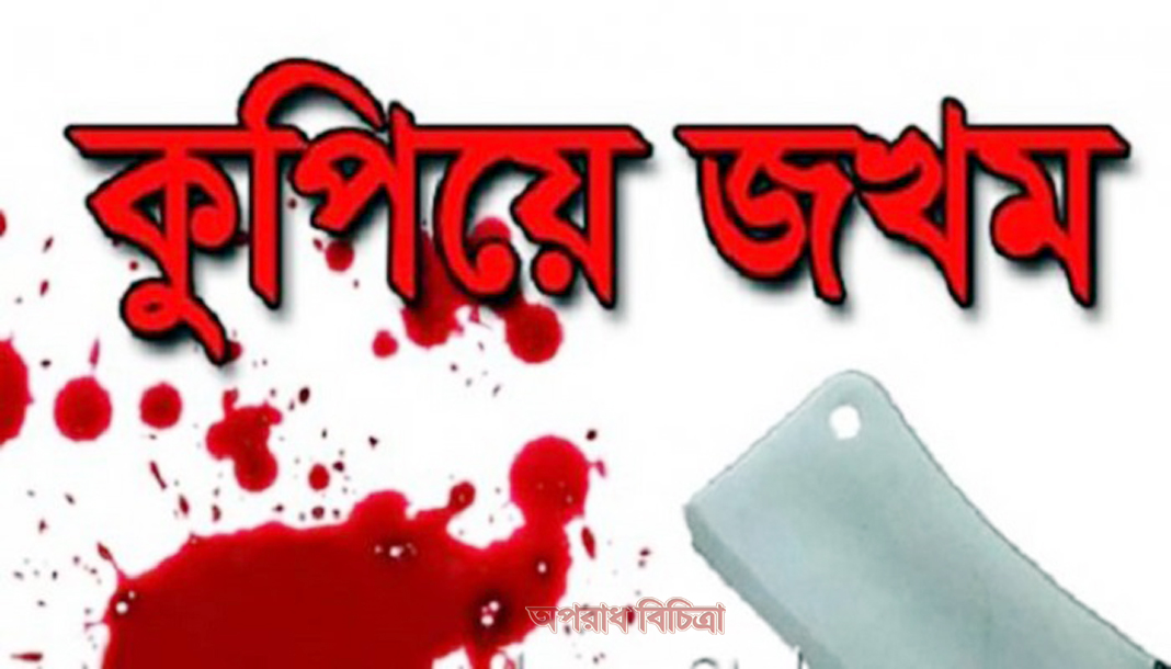 লাকসামে ছেলে কে মারধরে বাধা দেয়ায় পিতাকে কুপিয়ে জখম