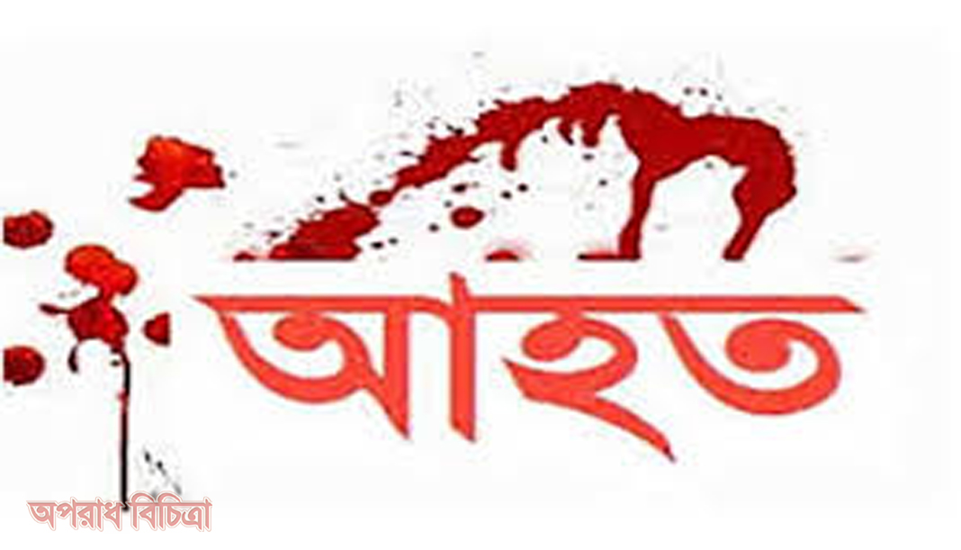 সুনামগঞ্জ সীমান্তে বিজিবির সাথে সংঘর্ষ, গুলি বর্ষন: নারী ও শিশুসহ আহত ১৫