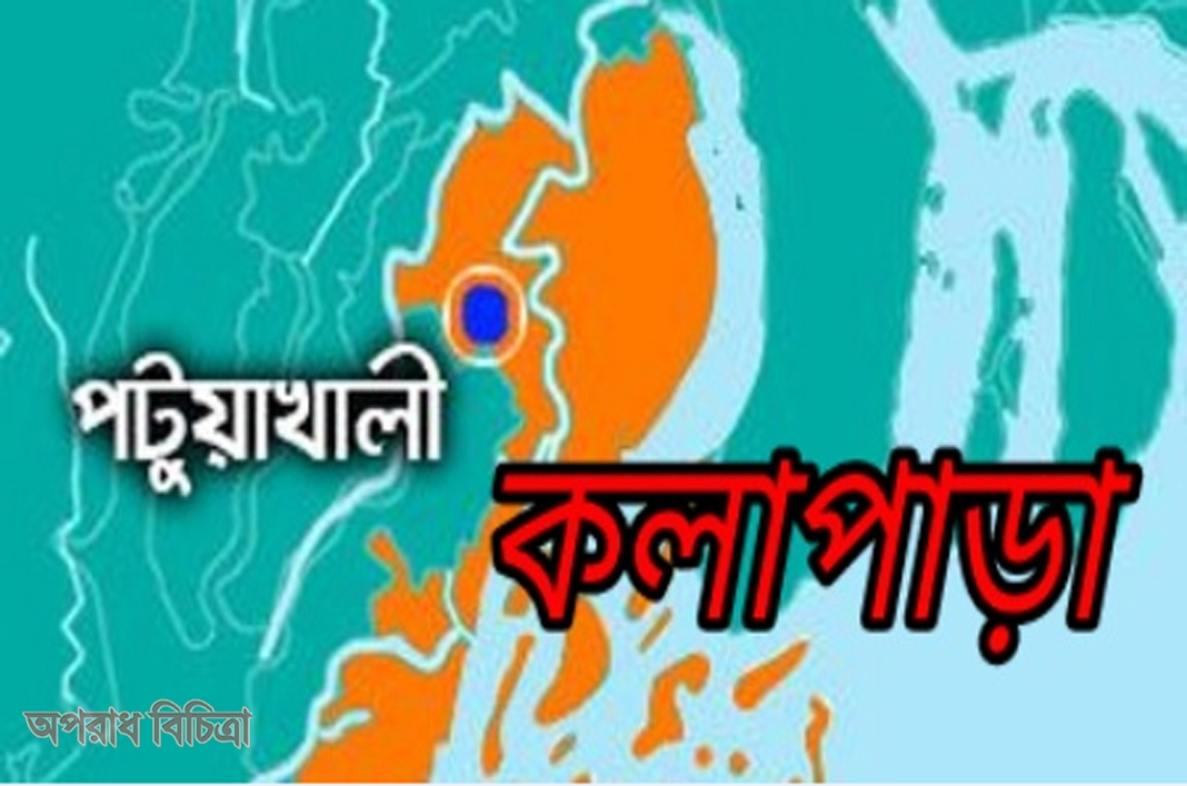 কলাপাড়ায় তিন দিনের বৃষ্টিতে ডুবে আছে আমন ধান ও ভেসে গেছে কোটি টাকার মাছ