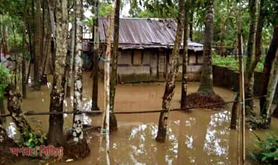 ঝালকাঠিতে টানা বর্ষণে পানি বৃদ্ধিতে নিম্নাঞ্চল প্লাবিত, রাস্তাঘাট ফাঁকা
