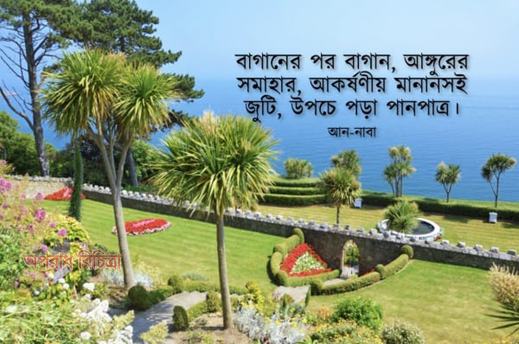 তোমার রবের পক্ষ থেকে পুরস্কার, এক যথার্থ উপহার আন-নাবা