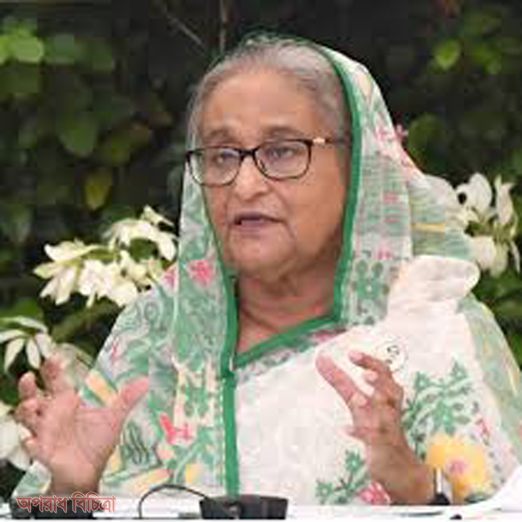 দেশপ্রেমে উদ্বুদ্ধ হয়ে সাংবাদিকদের কাজ করতে হবে: প্রধানমন্ত্রী