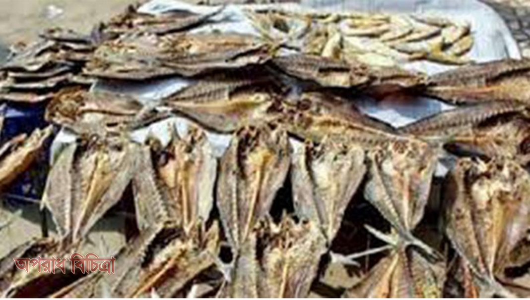 শুঁটকি নিয়ে মহাপরিকল্পনা, নষ্ট হবে না সাগরের মাছ