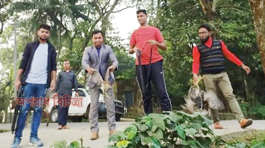 আজমিরীগঞ্জে সিবপাশা  হাওরে অভিযান চালিয়ে অতিথি পাখি অবমুক্ত